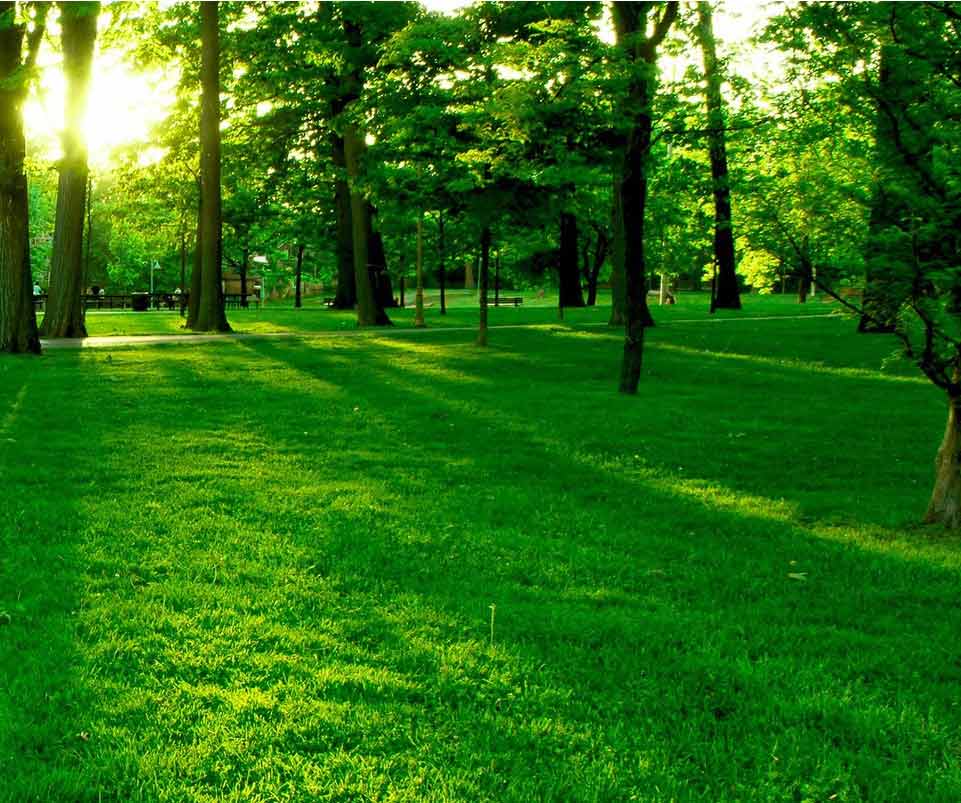 自然，我們永不傷害自然